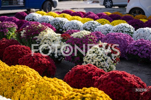  31.10.2025 WARSZAWA<br />
CMENTARZ TARCHOMINSKI<br />
N/Z CHRYZANTEMY<br />
FOT. MARCIN BANASZKIEWICZ / FOTONEWS  