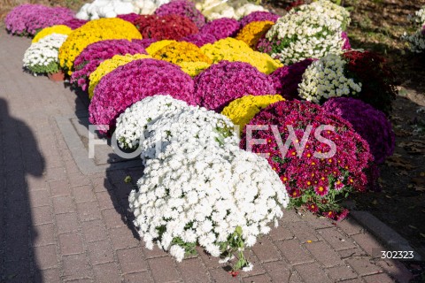  31.10.2025 WARSZAWA<br />
CMENTARZ TARCHOMINSKI<br />
N/Z CHRYZANTEMY<br />
FOT. MARCIN BANASZKIEWICZ / FOTONEWS  