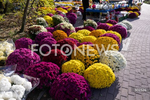  31.10.2025 WARSZAWA<br />
CMENTARZ TARCHOMINSKI<br />
N/Z CHRYZANTEMY<br />
FOT. MARCIN BANASZKIEWICZ / FOTONEWS  