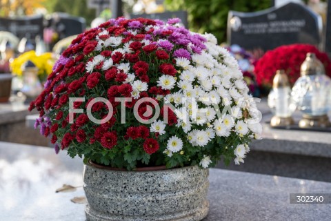  31.10.2025 WARSZAWA<br />
CMENTARZ TARCHOMINSKI<br />
N/Z CMENTARZ CHRYZANTEMA<br />
FOT. MARCIN BANASZKIEWICZ / FOTONEWS  