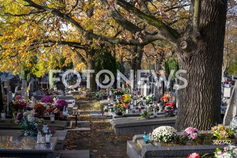  31.10.2025 WARSZAWA<br />
CMENTARZ TARCHOMINSKI<br />
N/Z CMENTARZ<br />
FOT. MARCIN BANASZKIEWICZ / FOTONEWS  
